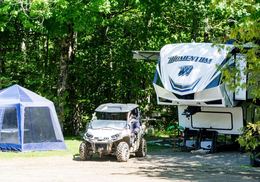 Wooded tent campsite